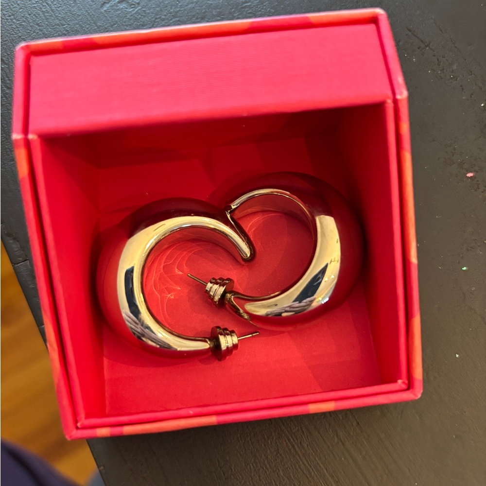 House of Harlow Silver Earrings